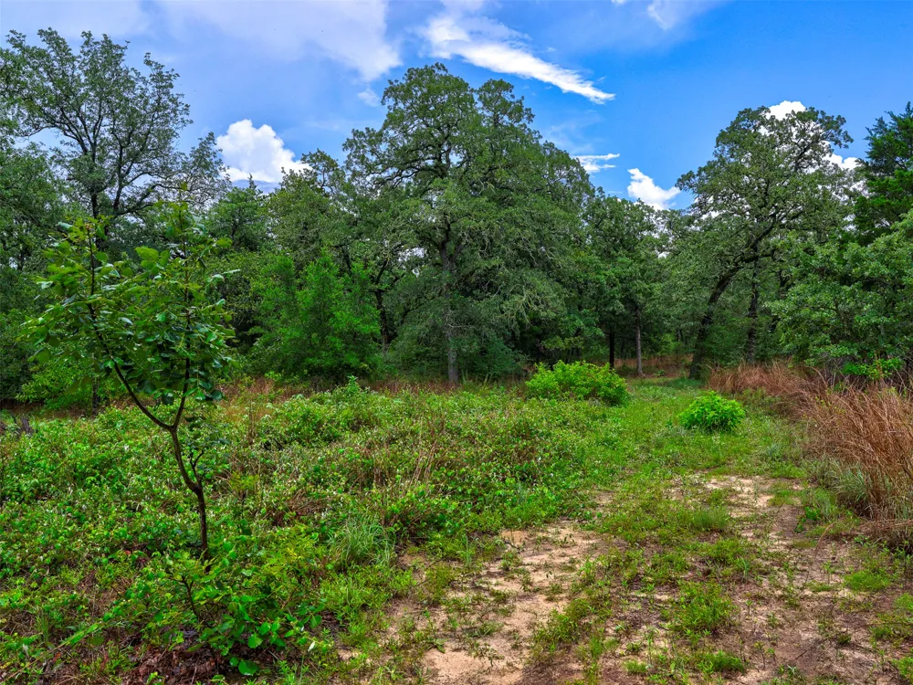 1420 CR C Lexington, TX 78947