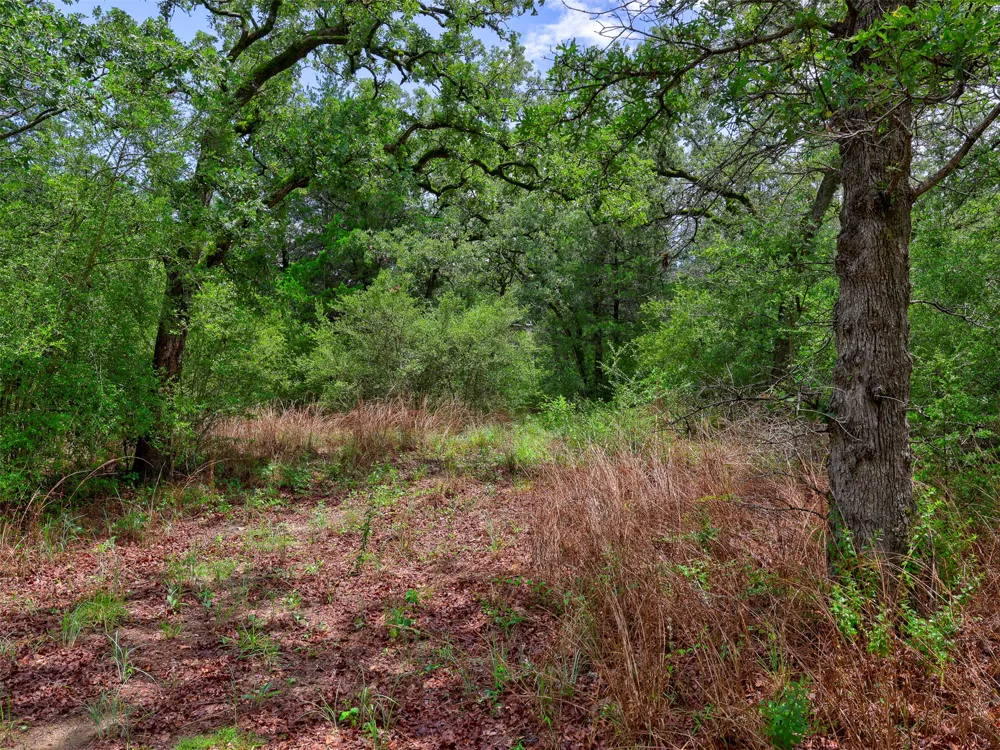 1420 CR C Lexington, TX 78947