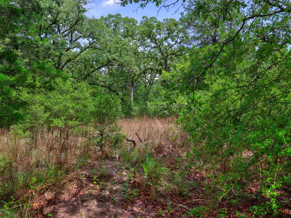 1420 CR C Lexington, TX 78947