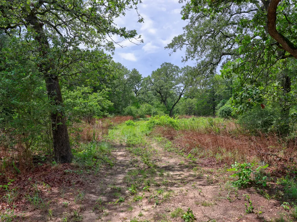 1420 CR C Lexington, TX 78947
