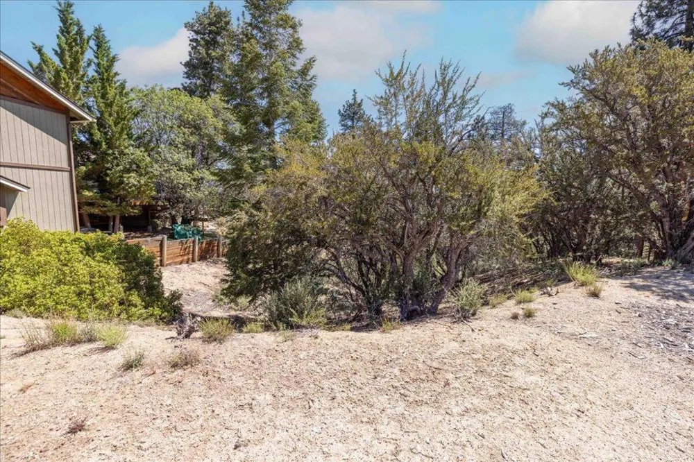 40587 Ironwood Drive Big Bear, CA 92315