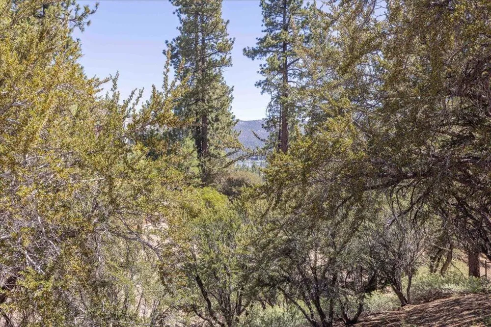40587 Ironwood Drive Big Bear, CA 92315