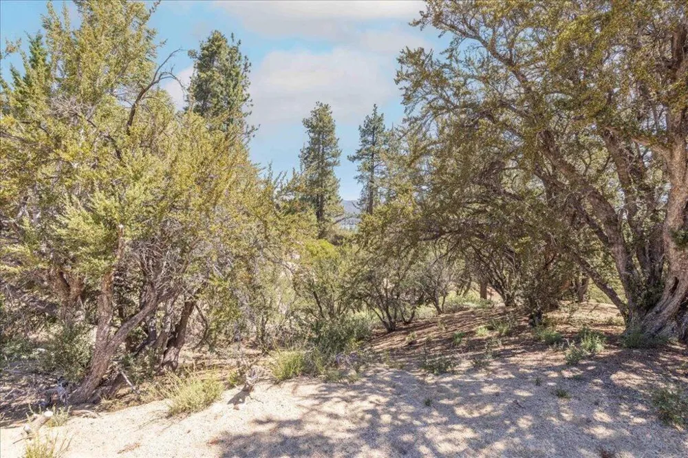 40587 Ironwood Drive Big Bear, CA 92315