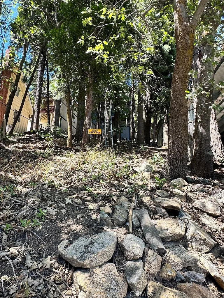 1223 Bear Springs Rimforest, CA 92378
