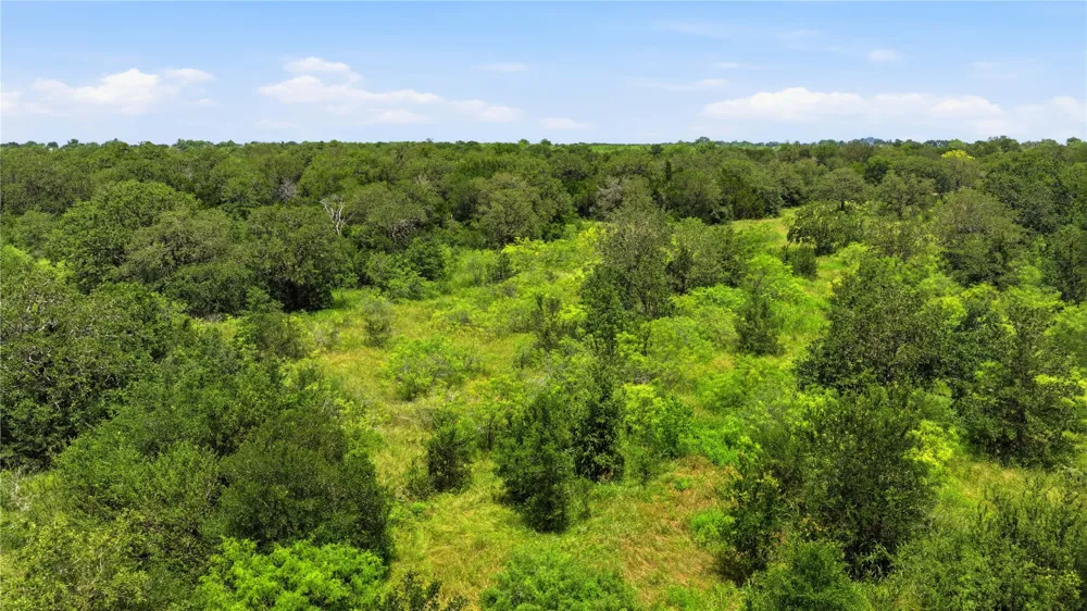 10312 Parsons Road Manor, TX 78653