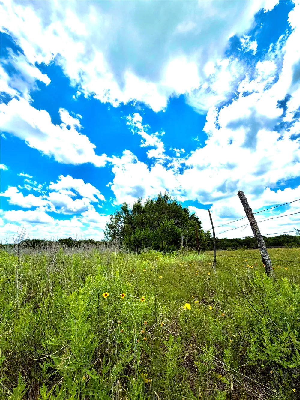 76 Adobe Hill Drive Stephenville, TX 76401
