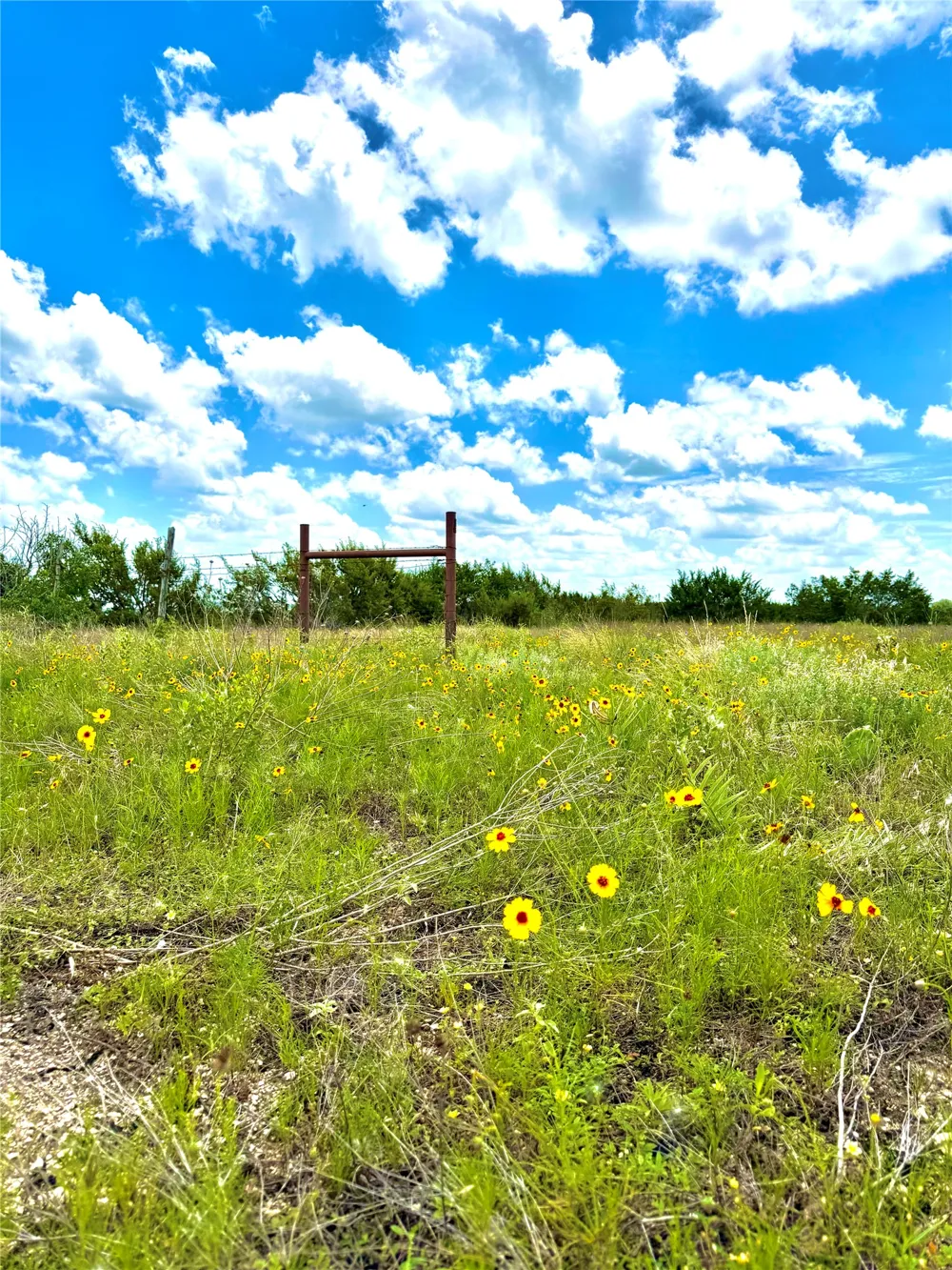 76 Adobe Hill Drive Stephenville, TX 76401