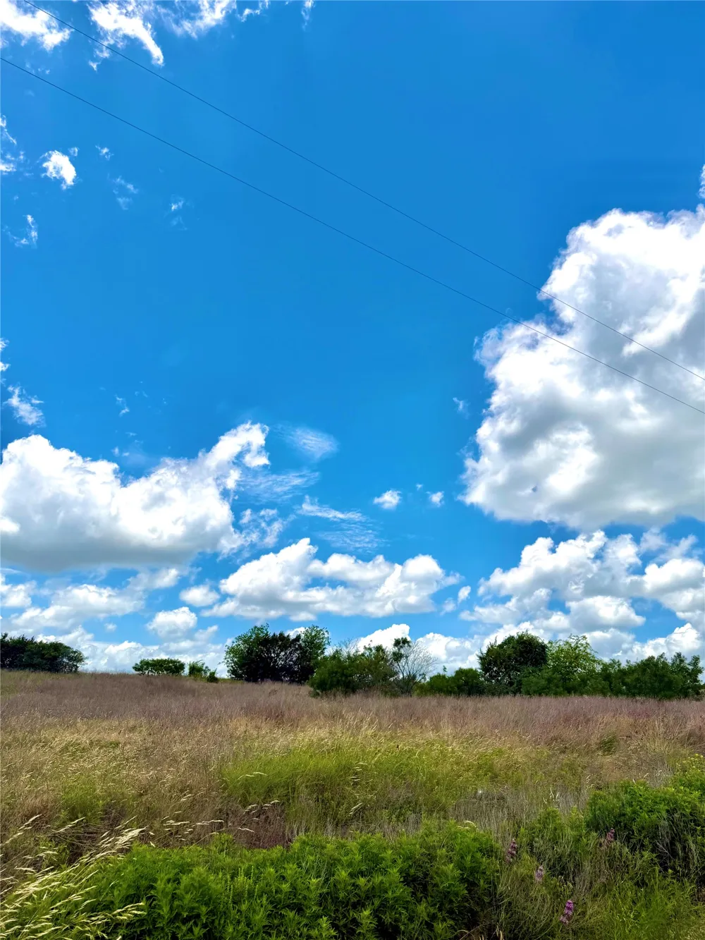 76 Adobe Hill Drive Stephenville, TX 76401