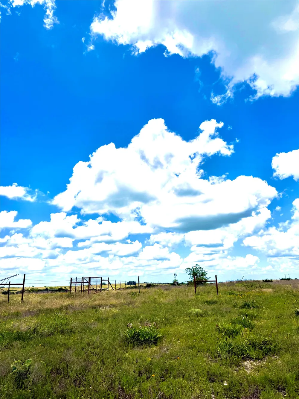 76 Adobe Hill Drive Stephenville, TX 76401