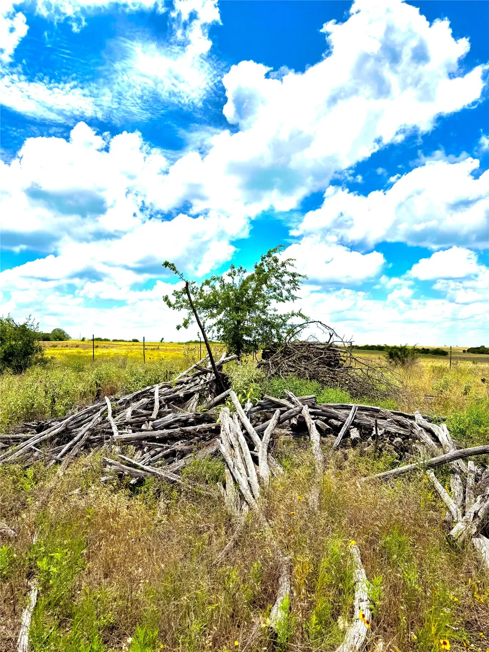 76 Adobe Hill Drive Stephenville, TX 76401