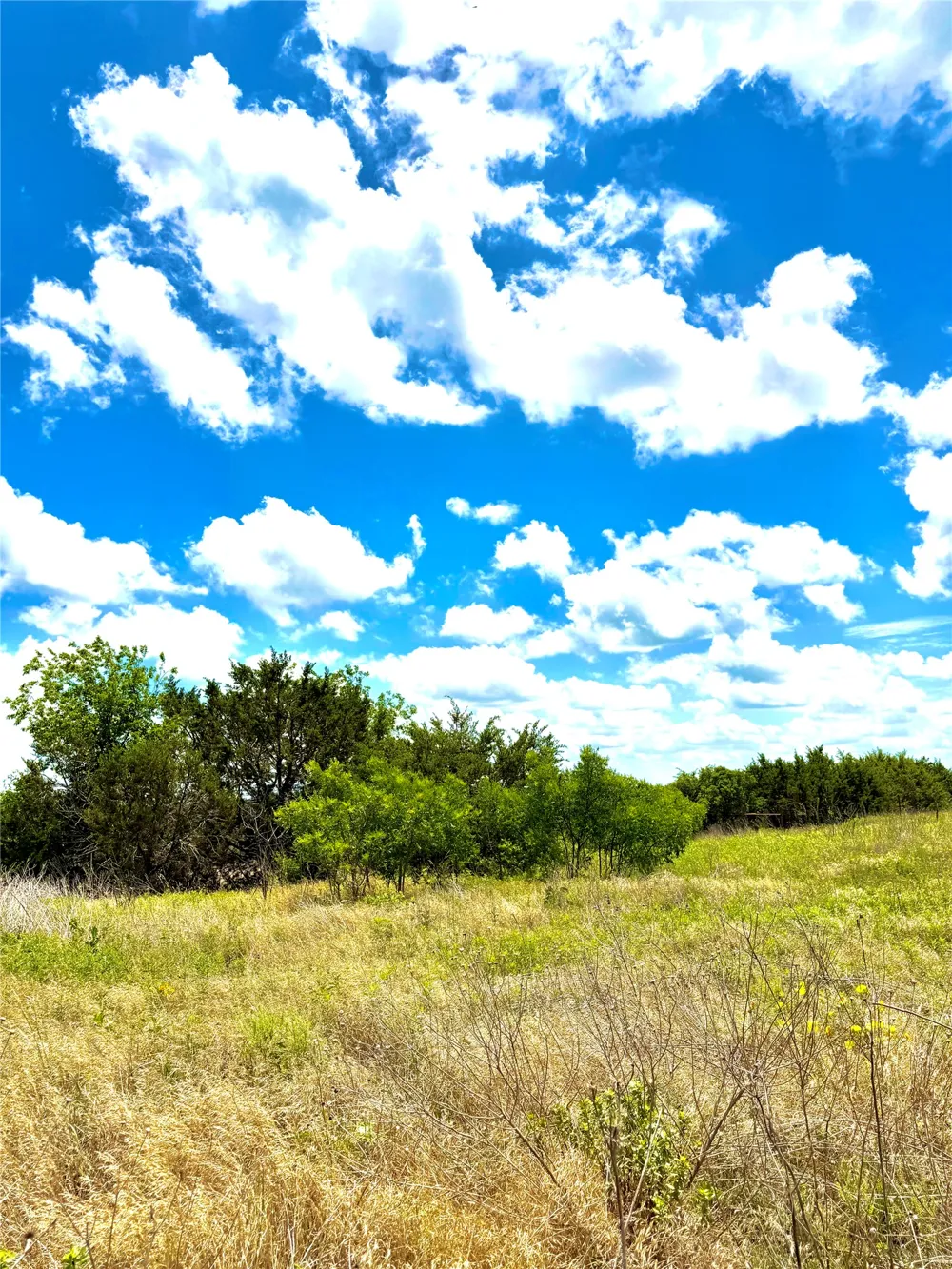 76 Adobe Hill Drive Stephenville, TX 76401
