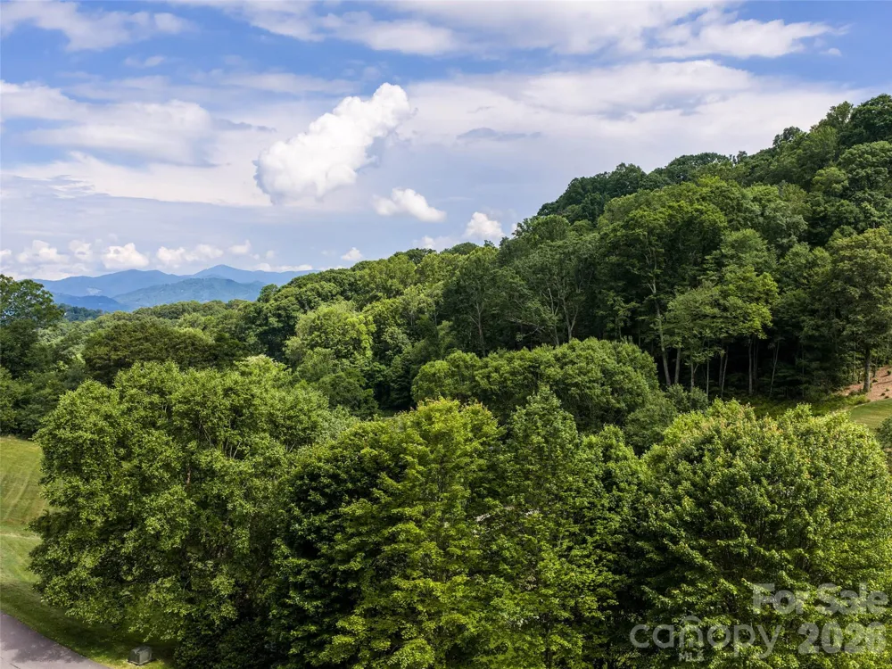 #37 Tapestry Trail Waynesville, NC 28785
