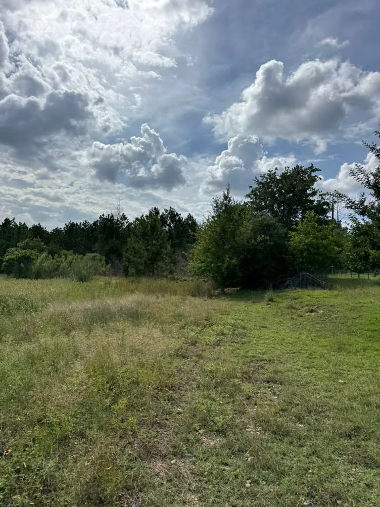 109 Pintail Lane Paige, TX 78659