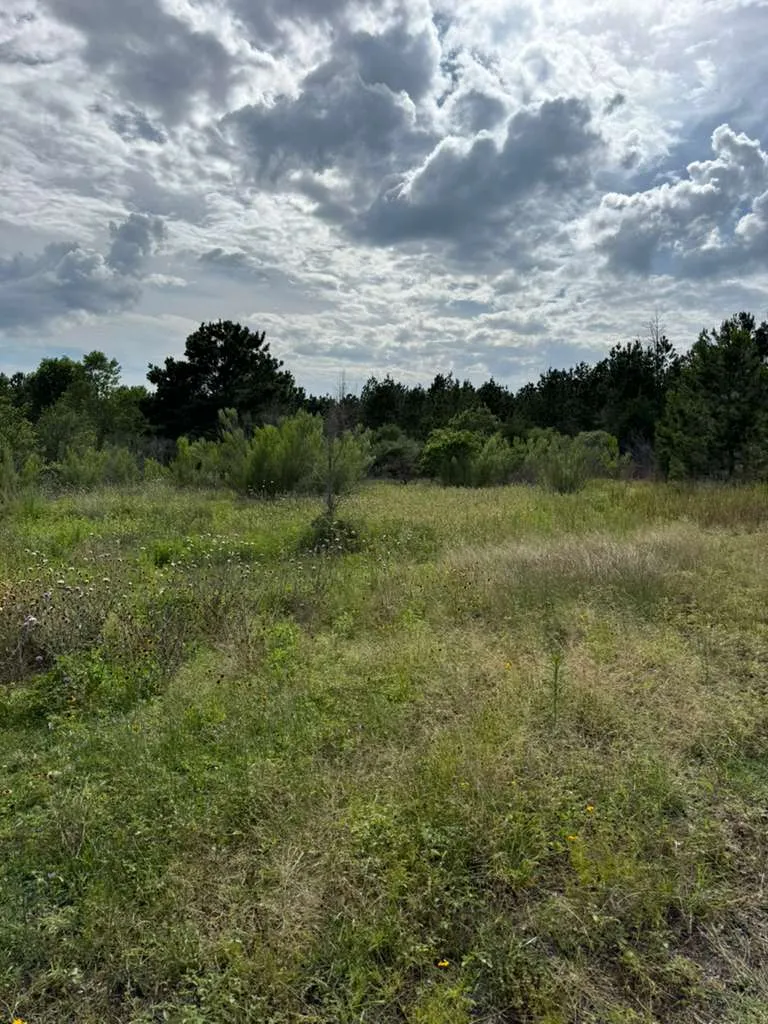 109 Pintail Lane Paige, TX 78659