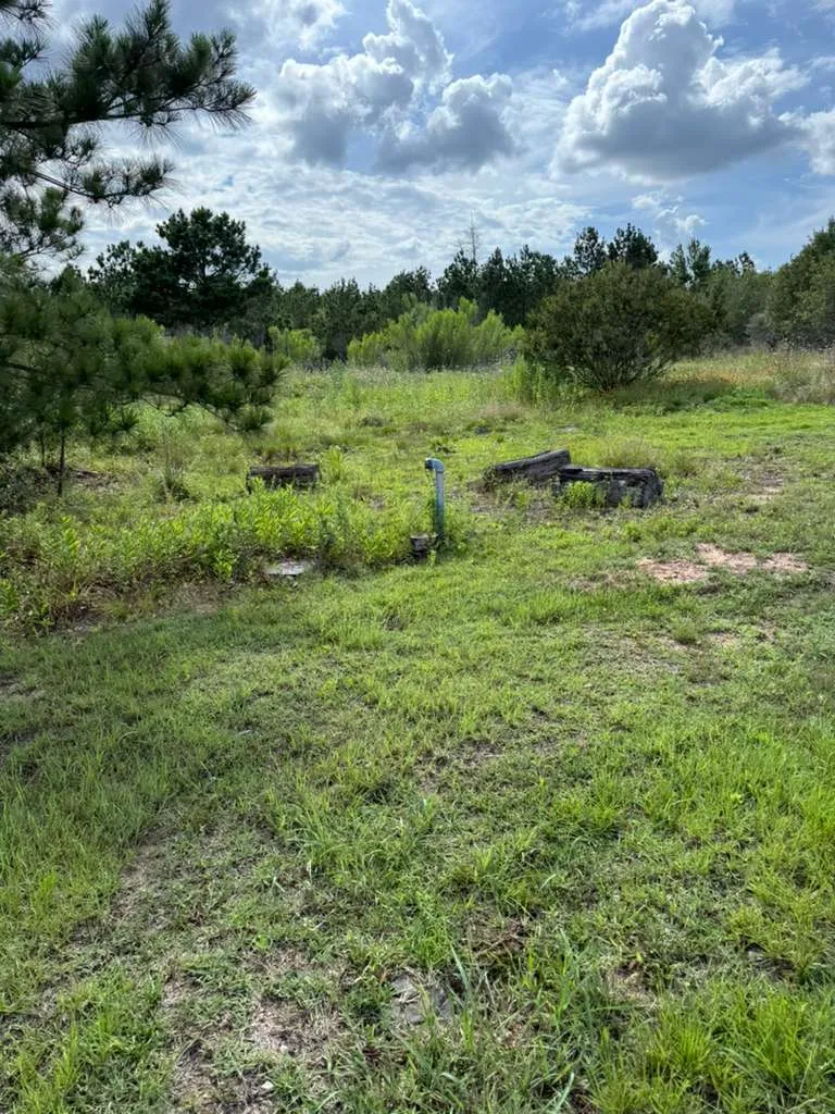 109 Pintail Lane Paige, TX 78659
