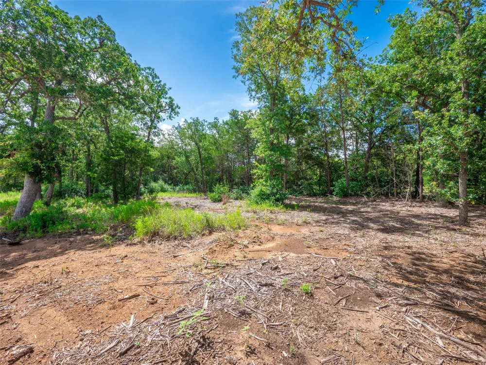 1686 FM 2104 Paige, TX 78659