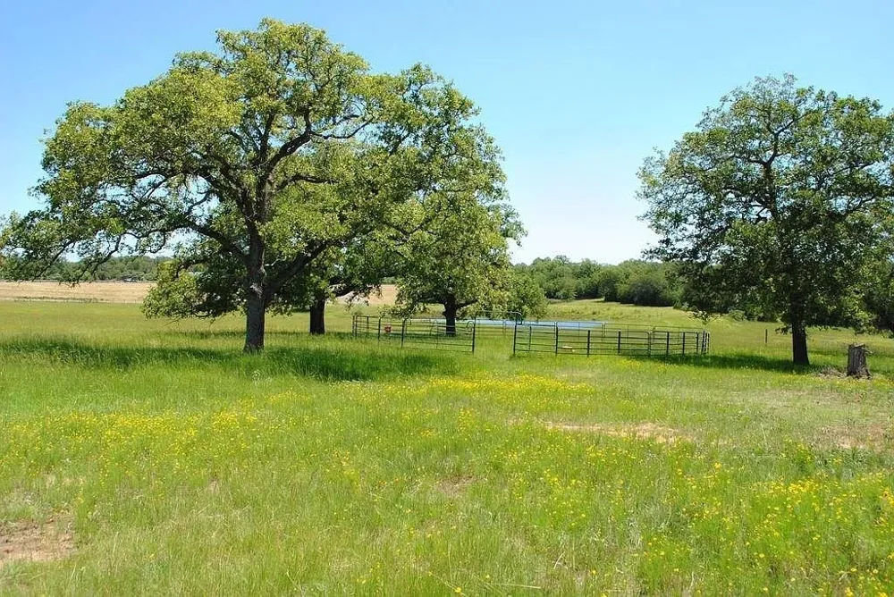 21741 E Interstate 10 Luling, TX 78648