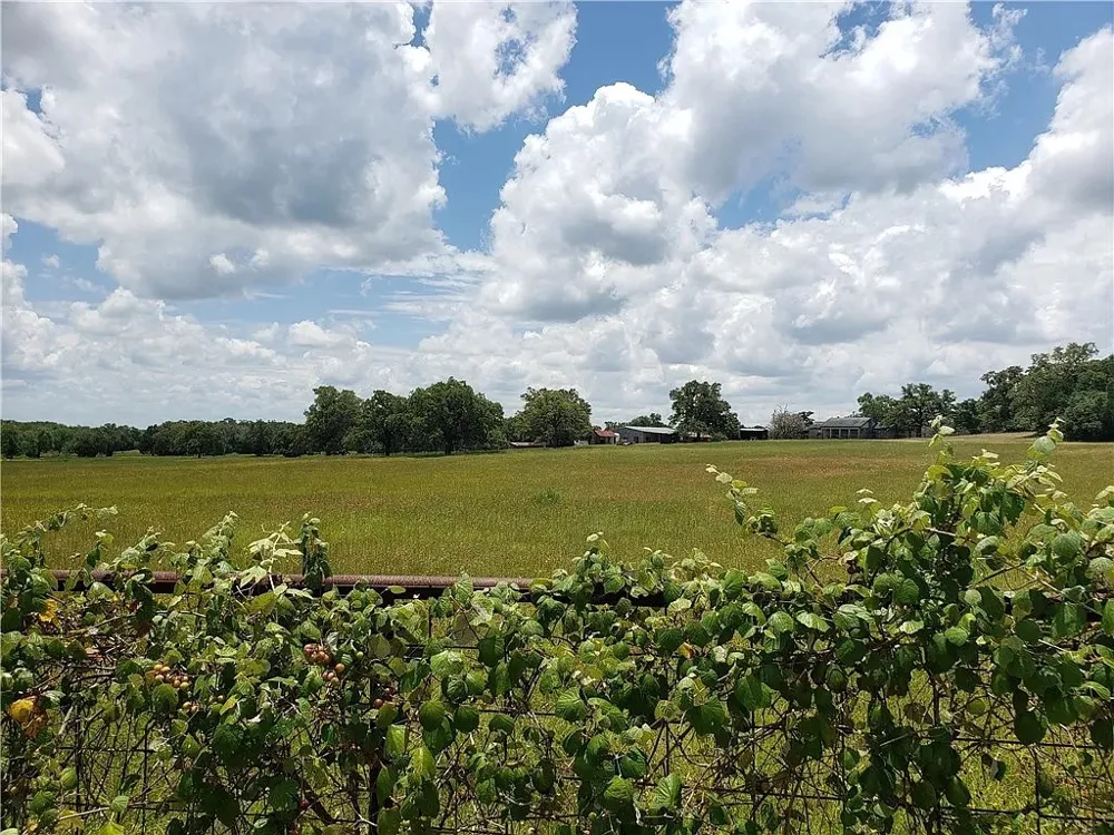 21741 E Interstate 10 Luling, TX 78648