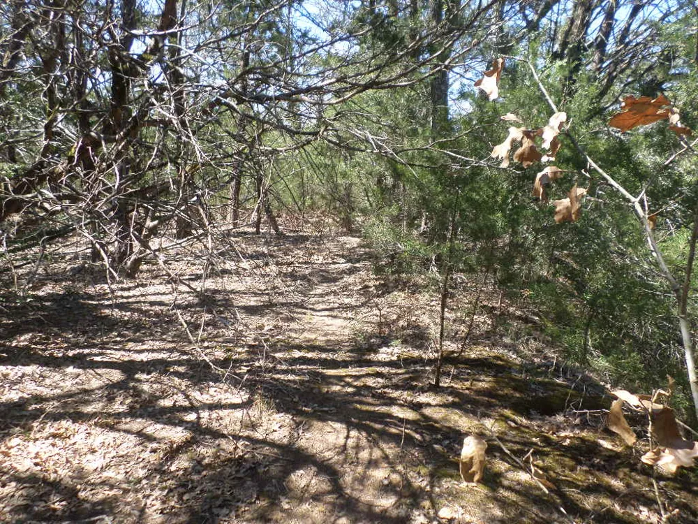 273 Walter Hoffman Road Cedar Creek, TX 78612