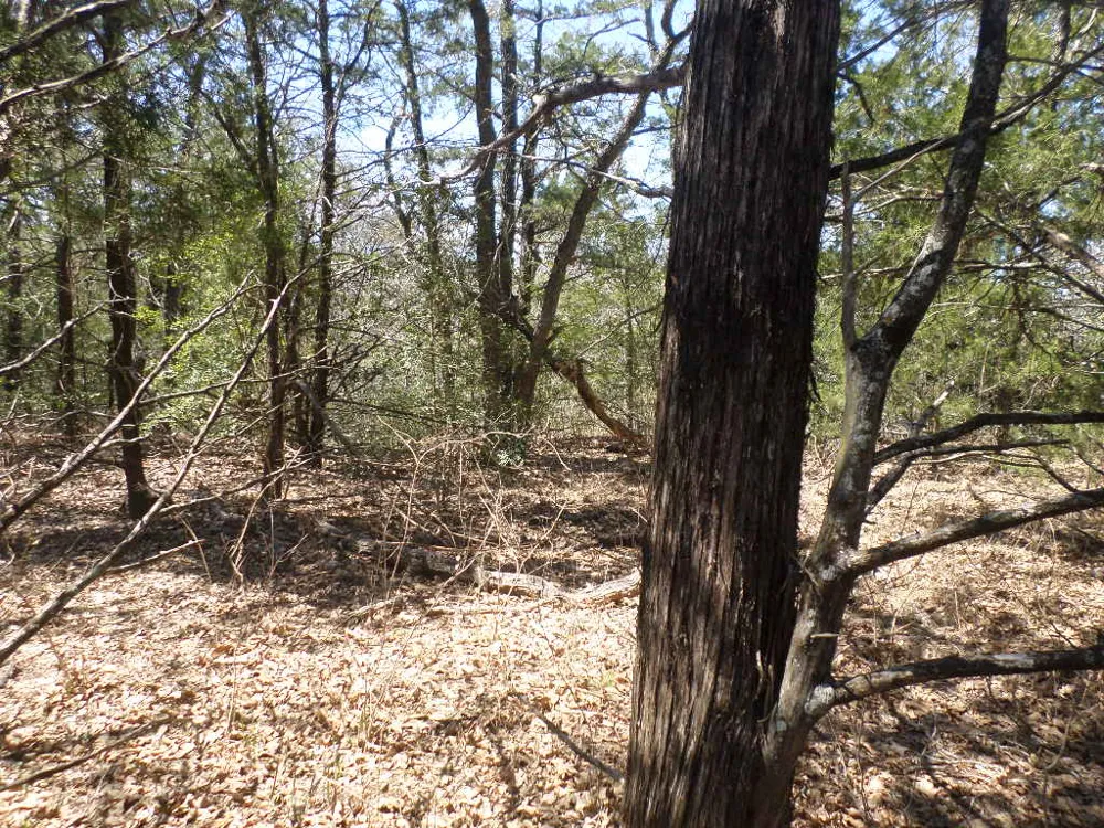 273 Walter Hoffman Road Cedar Creek, TX 78612