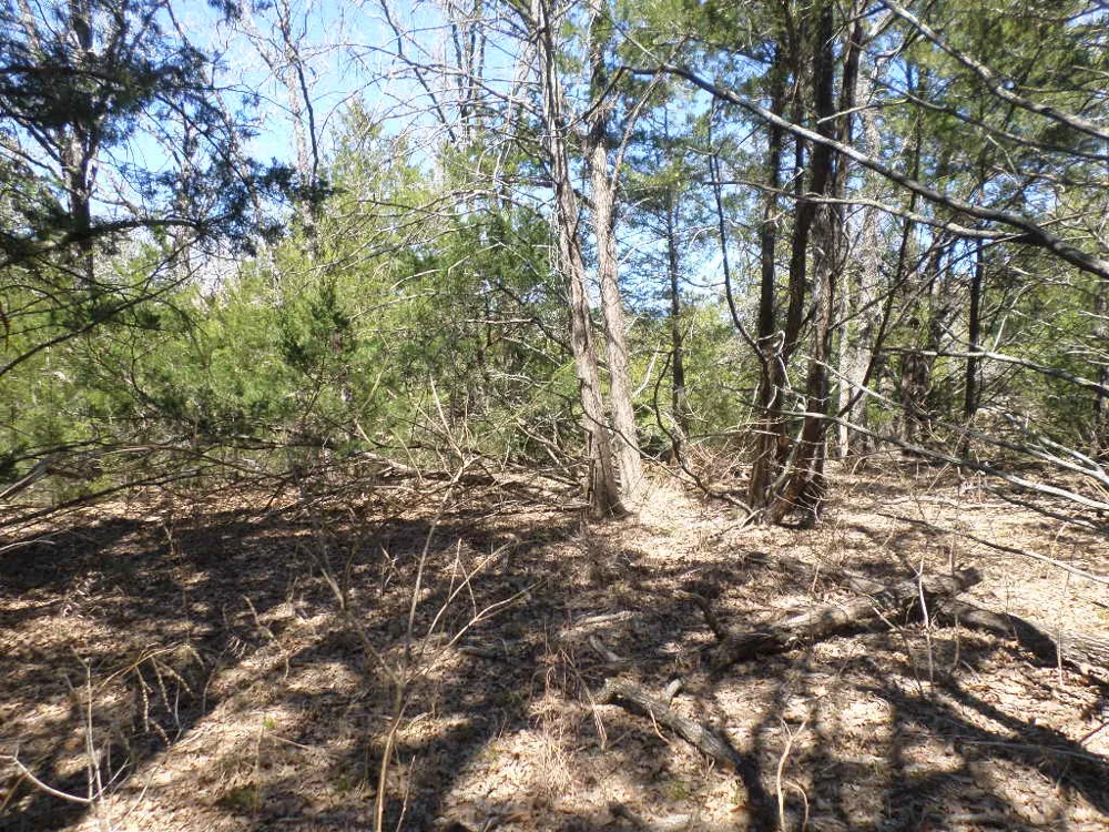 273 Walter Hoffman Road Cedar Creek, TX 78612