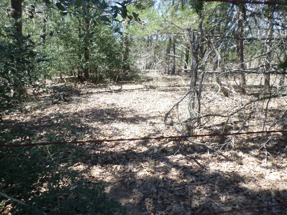 273 Walter Hoffman Road Cedar Creek, TX 78612