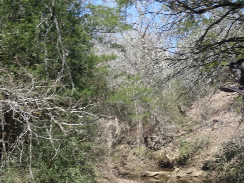 273 Walter Hoffman Road Cedar Creek, TX 78612