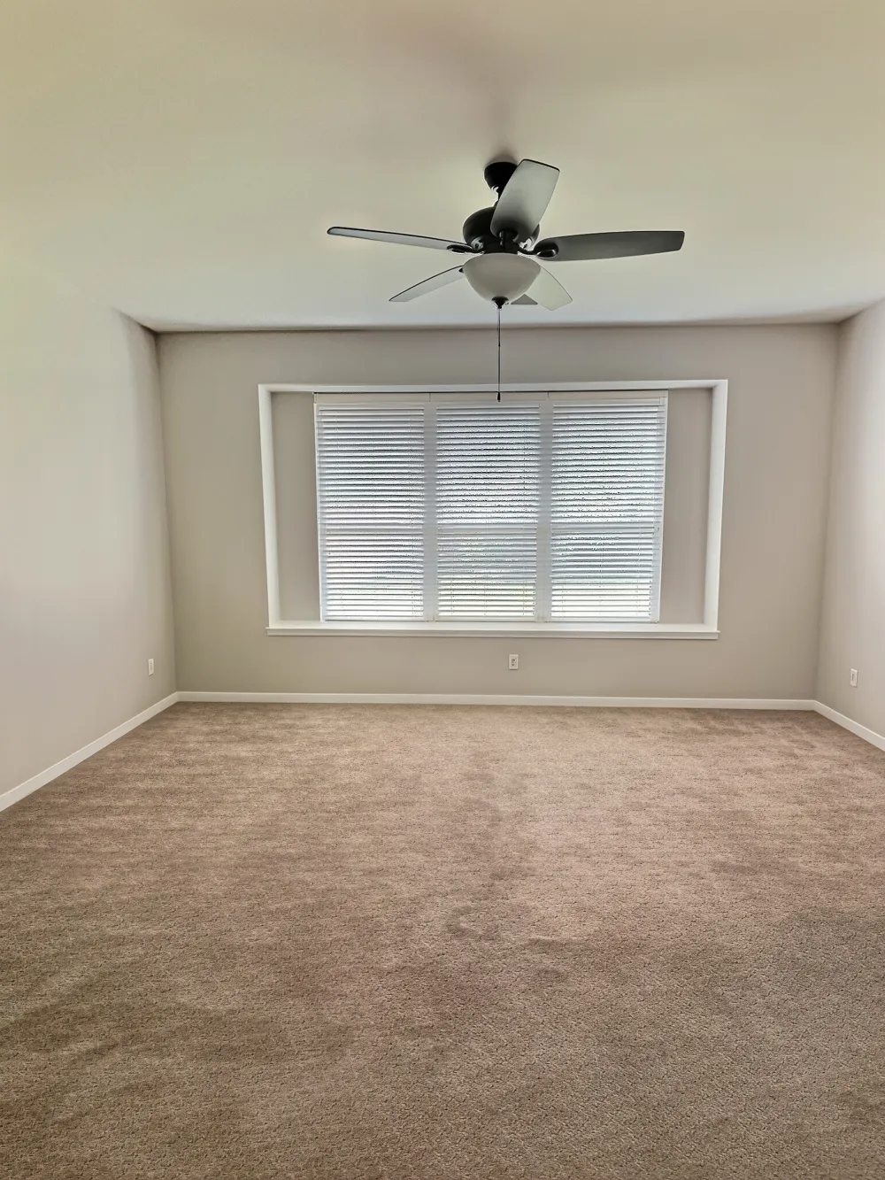 20013 Crane Creek Loop Pflugerville, TX 78660