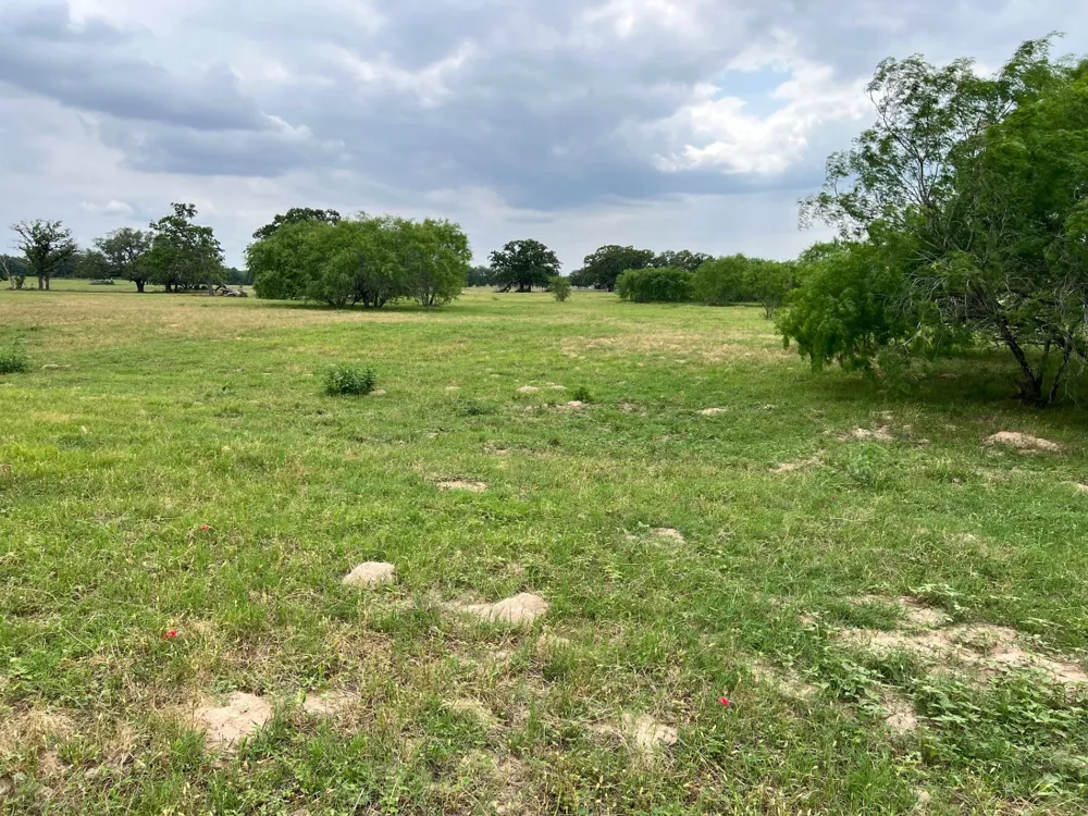 17 Settlement Way Luling, TX 78648