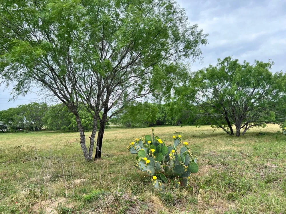 17 Settlement Way Luling, TX 78648
