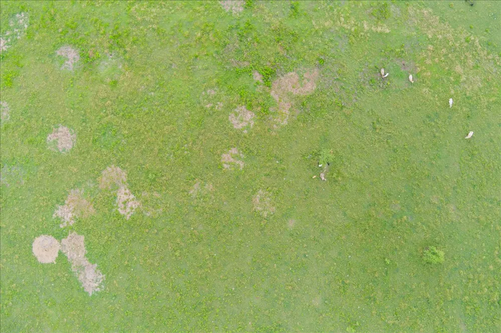 1700 CR 322 Bartlett, TX 76511