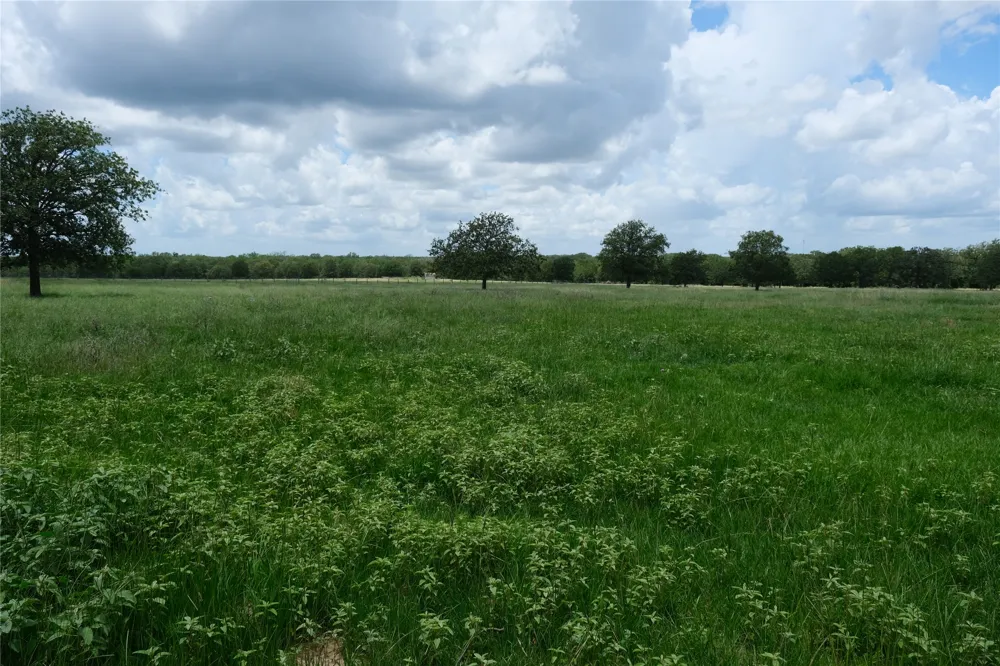 240 McAcres Drive McDade, TX 78650