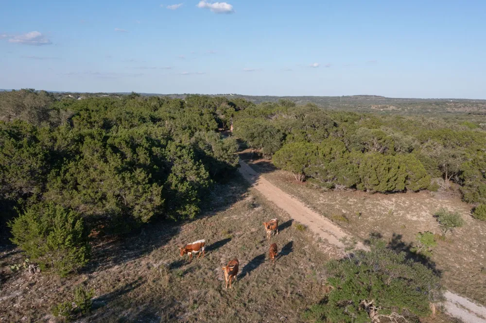 3303 Fearless Treadway Round Mountain, TX 78663