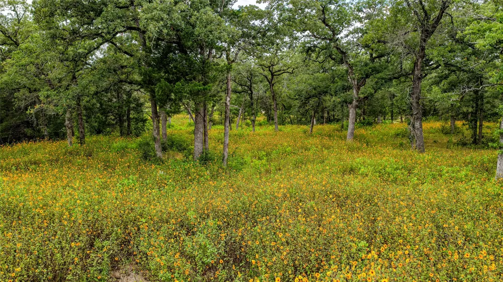 1908 County Road 305 Rockdale, TX 76567