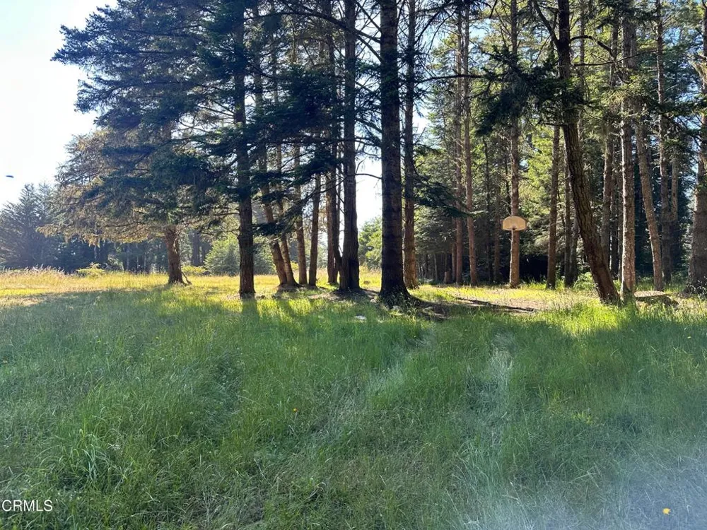 2901 Albion Ridge B Road Albion, CA 95410