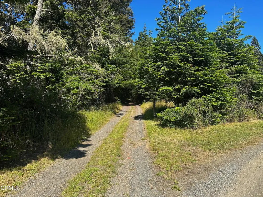 2901 Albion Ridge B Road Albion, CA 95410
