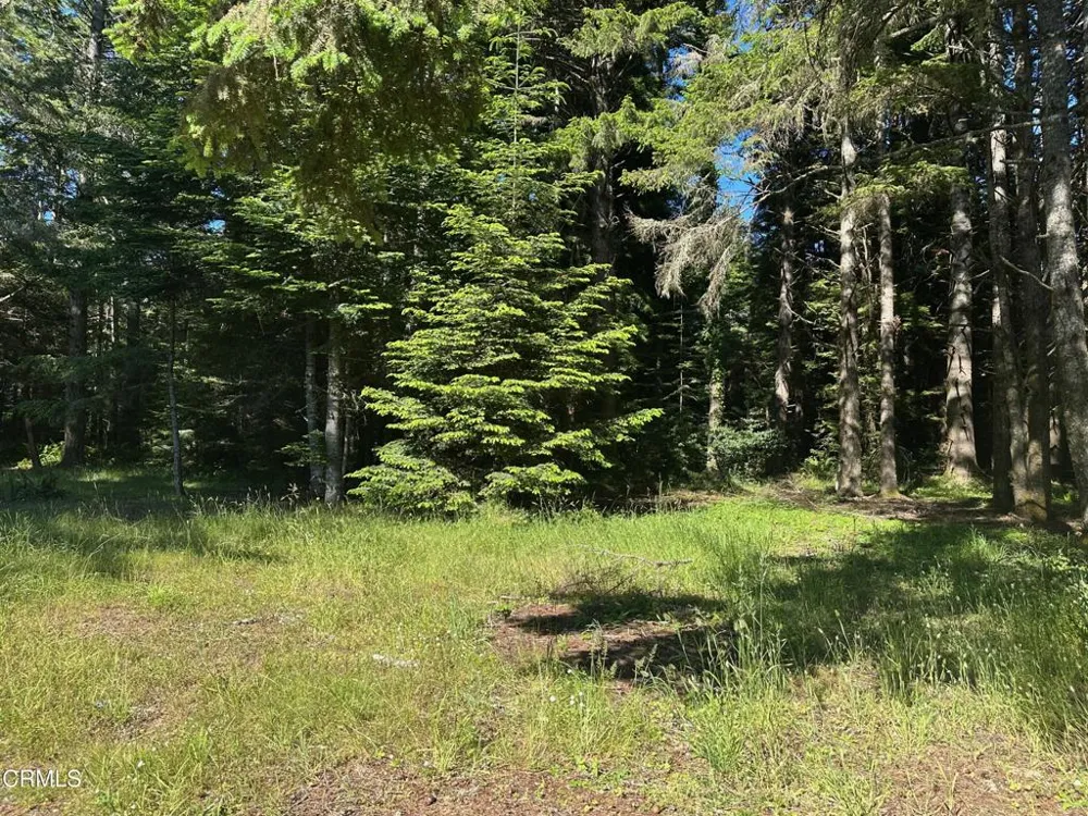 2901 Albion Ridge B Road Albion, CA 95410