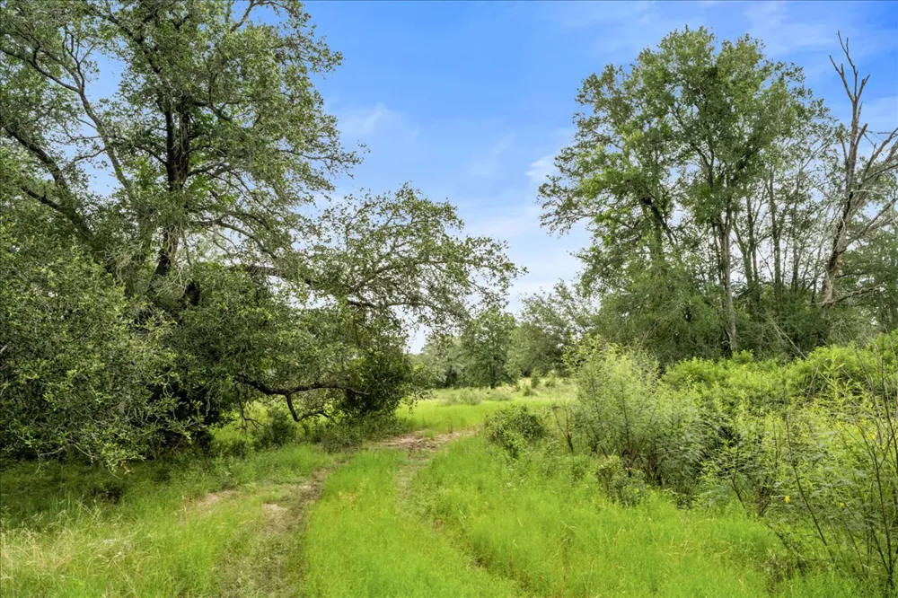 8413 Mach Road La Grange, TX 78945