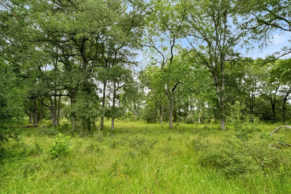 8413 Mach Road La Grange, TX 78945