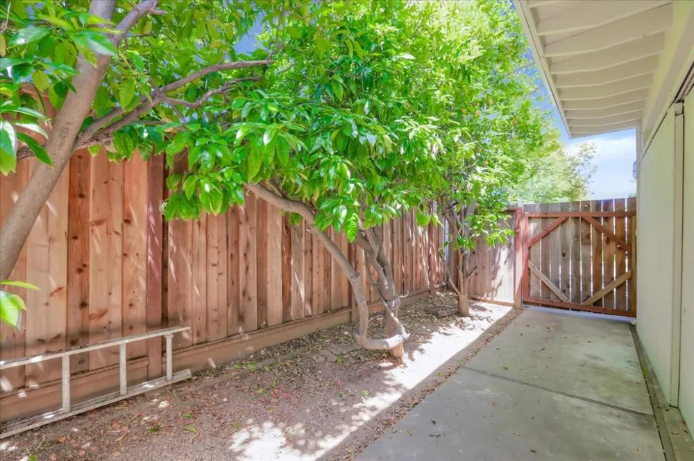20210 Franklin Avenue Saratoga, CA 95070