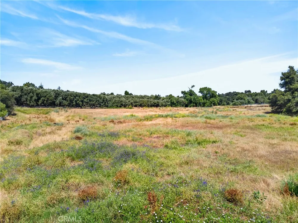 Walnut Avenue Orangevale, CA 95662