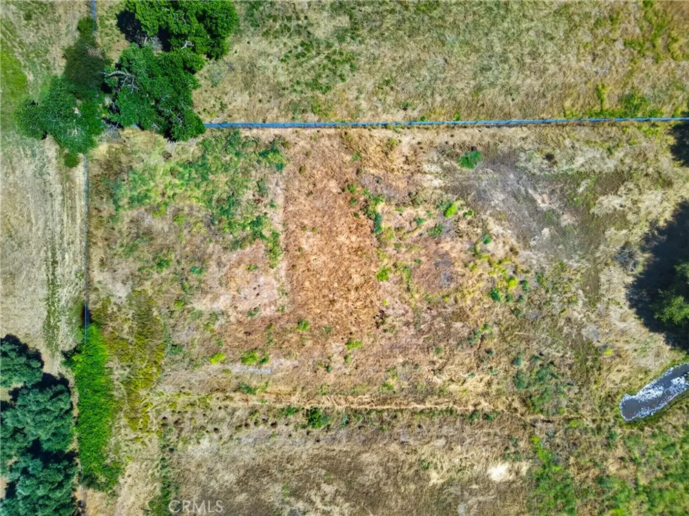 Walnut Avenue Orangevale, CA 95662