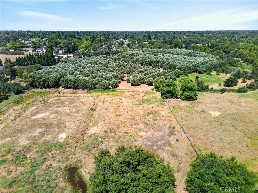 Walnut Avenue Orangevale, CA 95662
