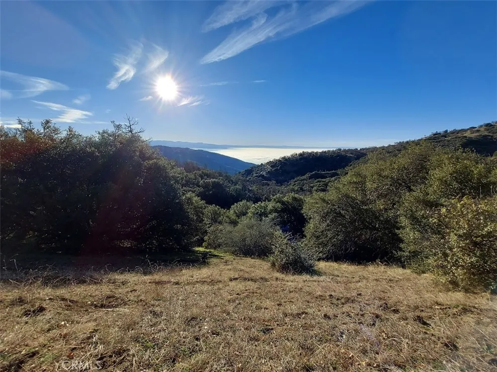 29600 Goldspike Road Tehachapi, CA 93561