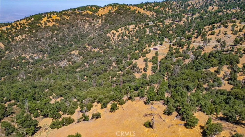 29600 Goldspike Road Tehachapi, CA 93561