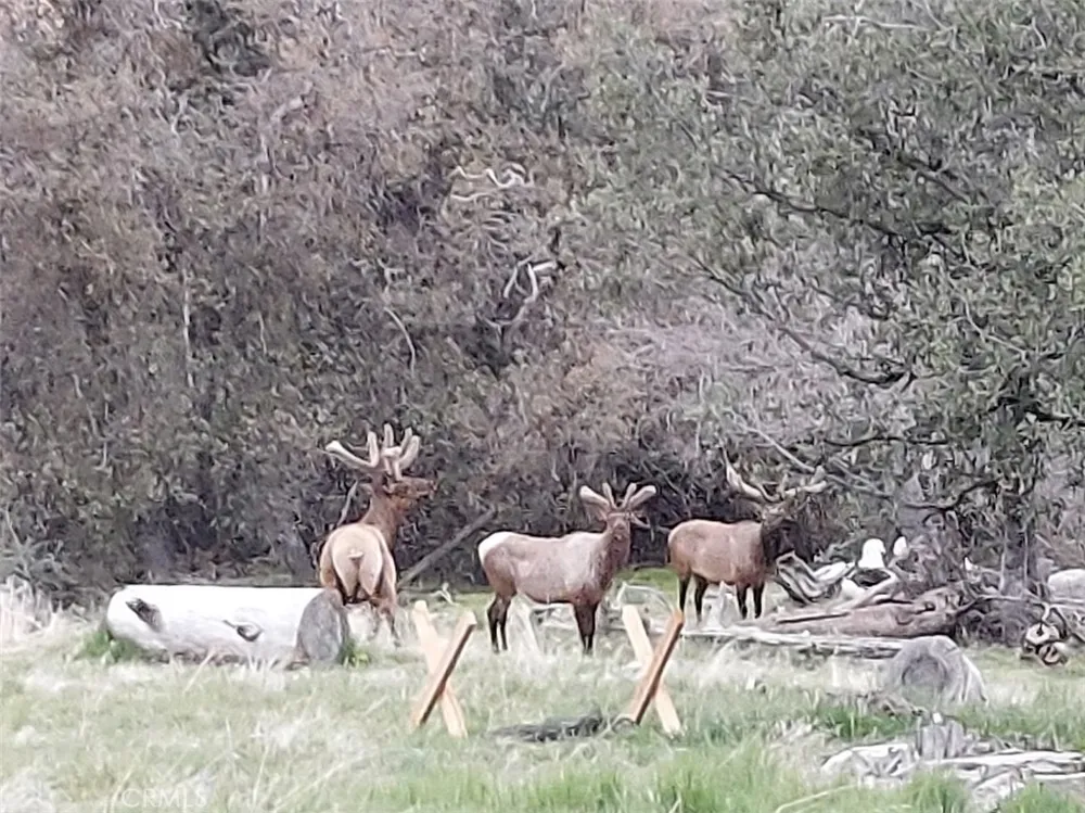29600 Goldspike Road Tehachapi, CA 93561