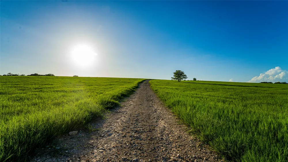 1462 County Road 313 Lexington, TX 78947