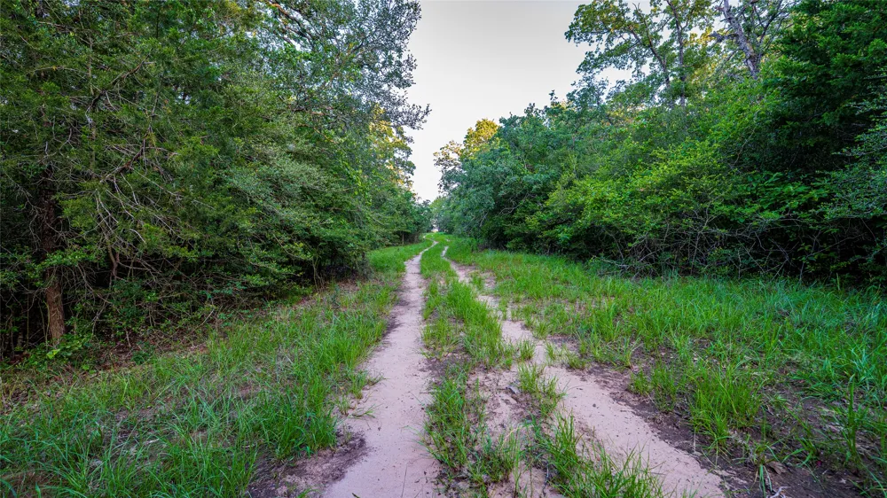 1462 County Road 313 Lexington, TX 78947