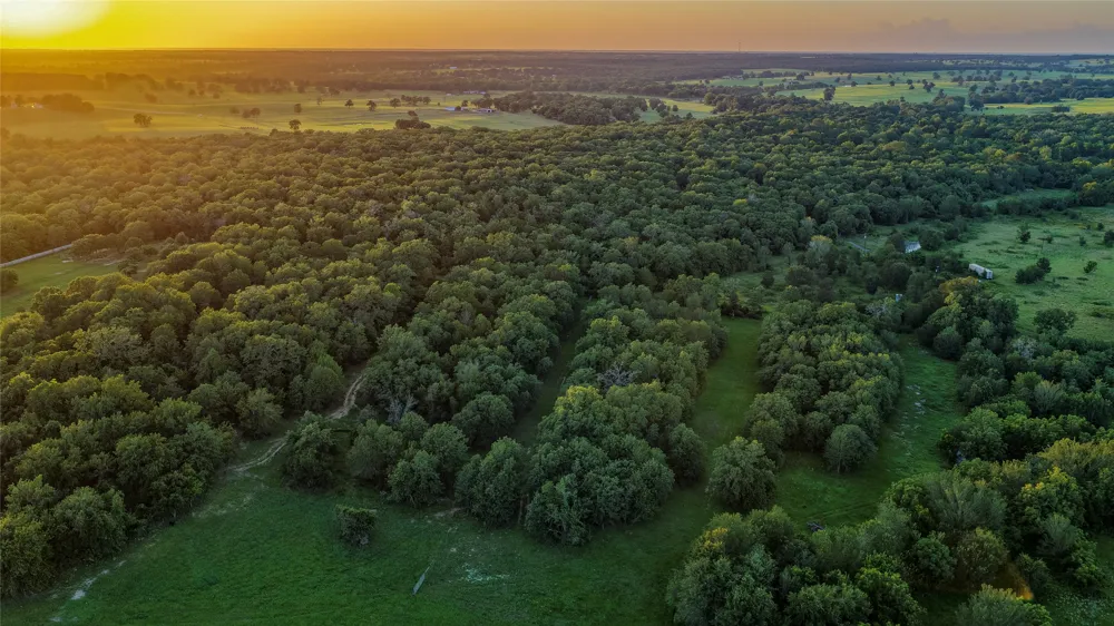 1462 County Road 313 Lexington, TX 78947
