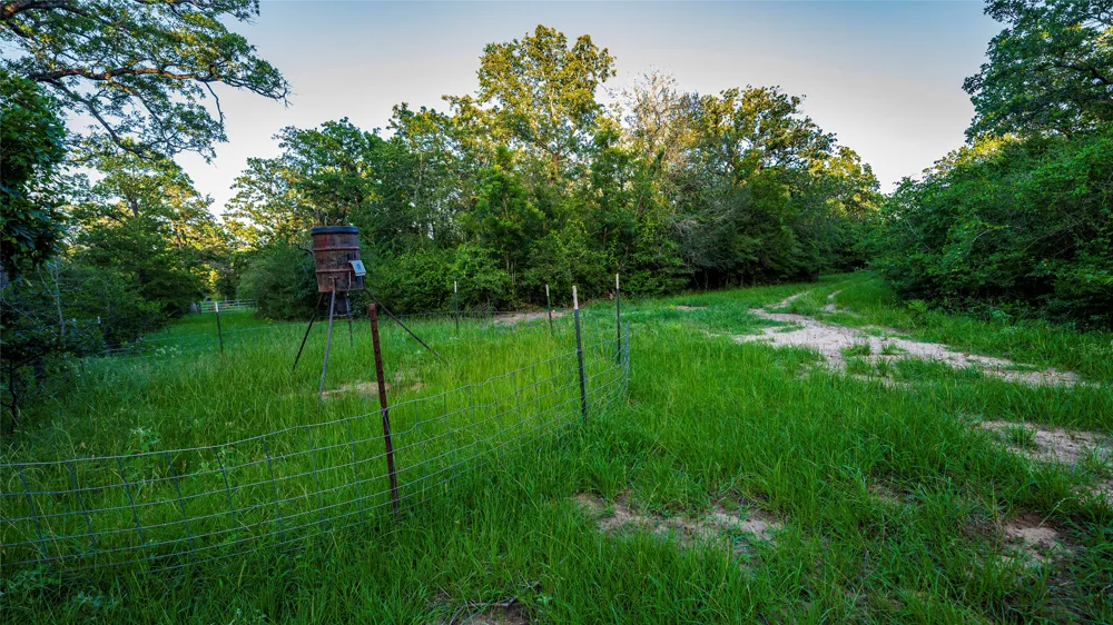 1462 County Road 313 Lexington, TX 78947